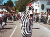 n-dobbin